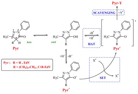 Antioxidants Free Full Text Synthesis Characterization And