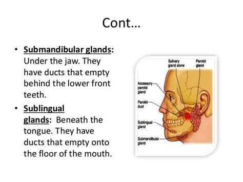 Salivary Gland Disorders 1