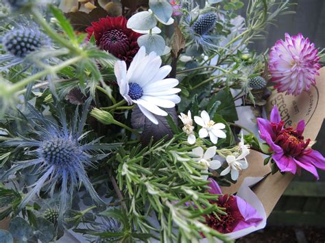 Autumn Seasonal Interest Flowers From The Farm