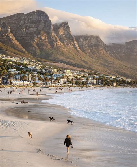 An insider’s guide to cape town dame traveler – Artofit