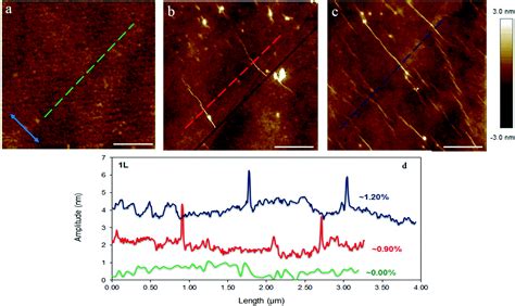 Wrinkling Formation In Simply Supported Graphenes Under Tension And