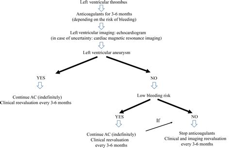 Clinical Outcome After Left Ventricular Thrombus Resolution Who Needs Long‐term Or Lifetime Use