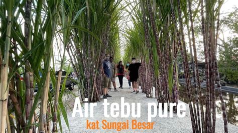 Tebu Sawah Seafood Laman Tebu Aidil Youtube