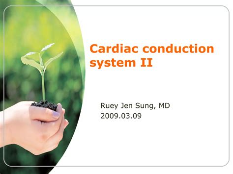 Cardiac Conduction System Ii Ppt