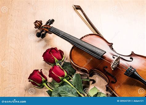 Violin Rose And Music Books Stock Image Image Of Flowers Instrument