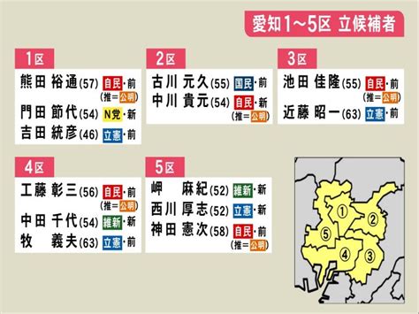 【衆院選 愛知】15のうち10選挙区で野党候補1本化 “10区”に東海3県で最多5人が立候補 東海テレビnews