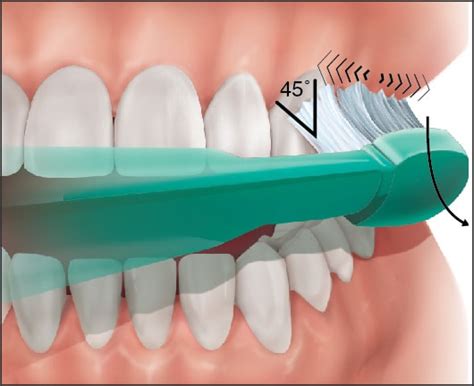 Teeth Brushing Techniques And Recommended Practices For Proper Teeth