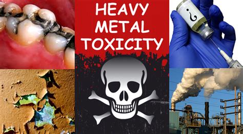 Heavy Metal Poisoning Symptoms And Solutions