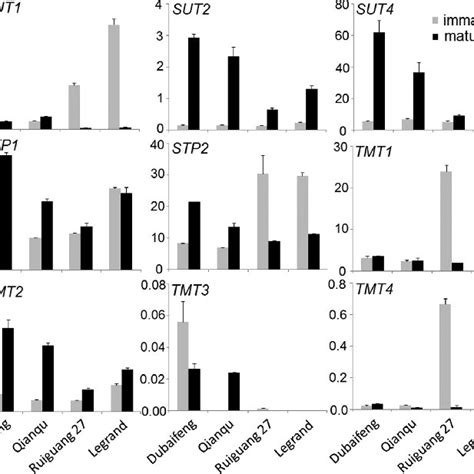 Soluble Sugar Content Variation In Immature And Mature Fruits Of Four