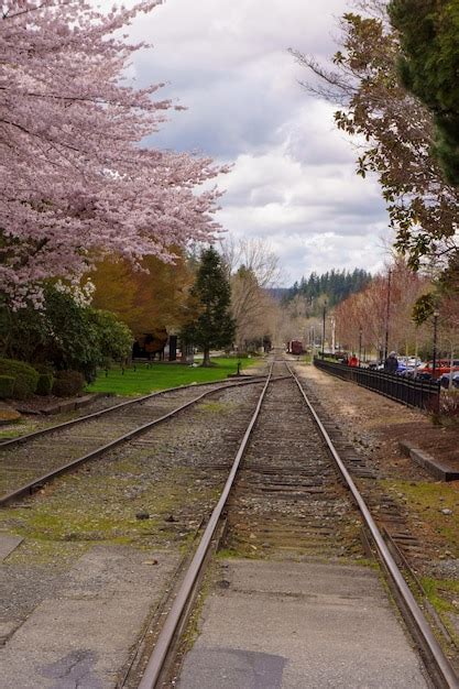 Premium Photo Railroad With Cherry Tree In Blossom