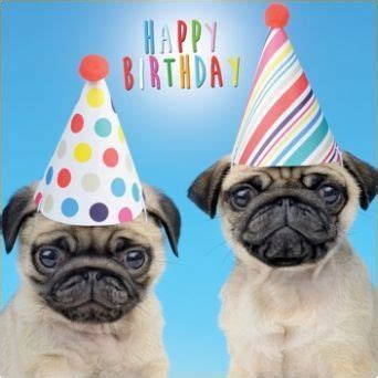 Pin By Dawn Hackworth On Pet Birthday Happy Birthday Pug Happy