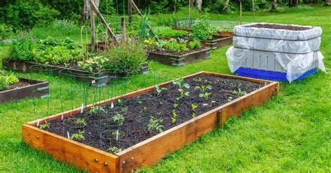 How To Grow Food In Your Backyard Smart Money Mamas