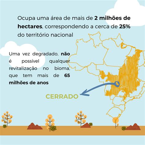 Mapa Mental Do Cerrado Learnbrazil