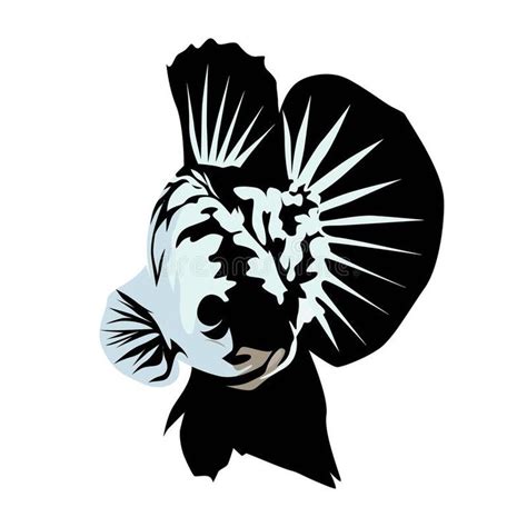 Illustration about Betta Samurai Fish Vector Art Design And ...