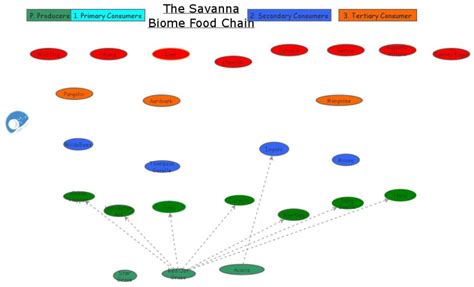 Clone Of Boreal Forest Food Chain Insight Maker