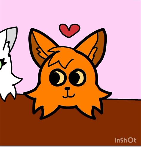 Котики Шарики - YouTube