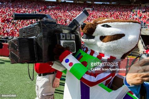 Bucky The Badger Photos and Premium High Res Pictures - Getty Images