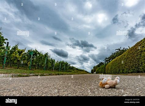 Children's toys are on the street Stock Photo - Alamy