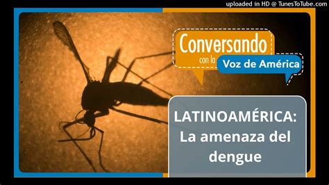 América Latina En Alerta Roja Por El Aumento Récord De Casos De Dengue