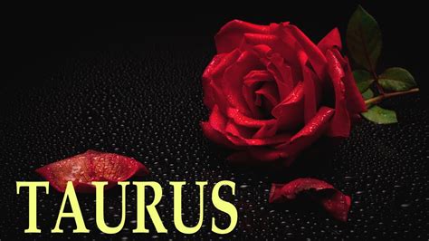 TAURUS CRAZINESS YOU MAY WANT TO SIT DOWN FOR THIS TAURUS Tarot