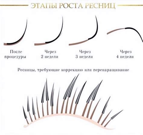 Pin by any on Ресницы Eyelashes Lashes Arabic eye makeup