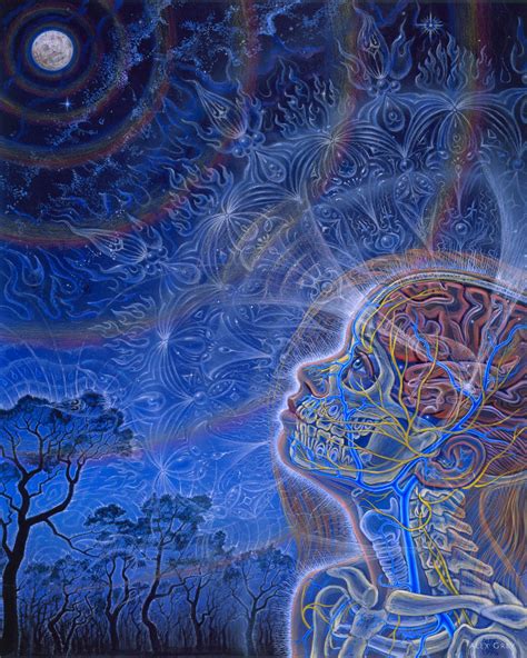 Dmt The Spirit Molecule By Alex Grey