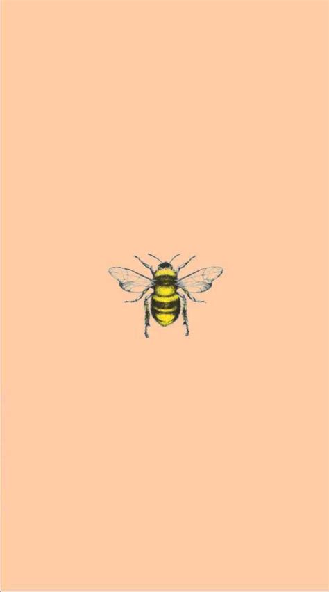 Bee Wallpapers On Wallpaperdog