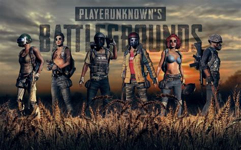 PUBG Windows 10 Theme - themepack.me