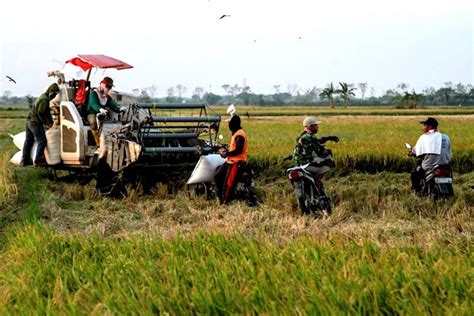 Efektifkan Produksi Petani Lamongan Gunakan Mesin Panen Padi