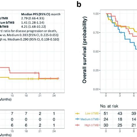 Overall Survival Os And Progression Free Survival Pfs In Validation Download Scientific