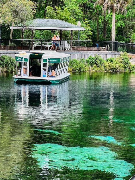 Historic Glass Bottom Boat Tour in Silver Springs - Next Stop Adventures