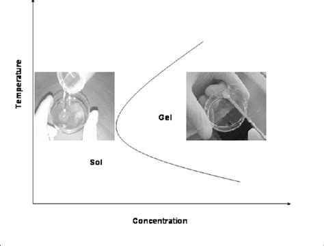 Schematic Representation Of A Sol Gel Phase Diagram Temperature Vs