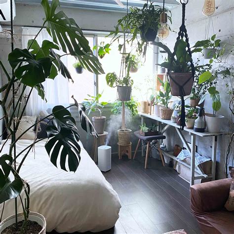 コンクリート打ちっぱなしの部屋で植物と暮らす私が買ってよかった3つのアイテム Goodroom Journal