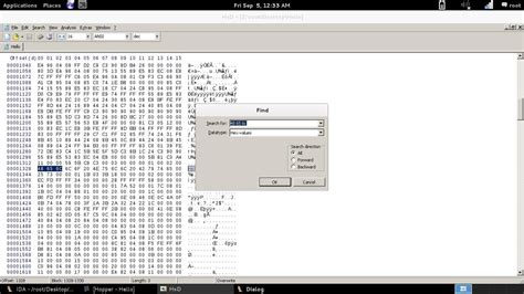 Binary Patching The Brute Force Of Reverse Engineering With Ida And