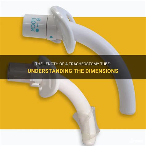 The Length Of A Tracheostomy Tube Understanding The Dimensions MedShun