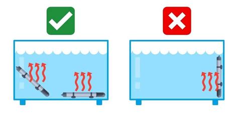 Top 9 - Best Turtle Tank Heater - Buyer's Guide (2024)