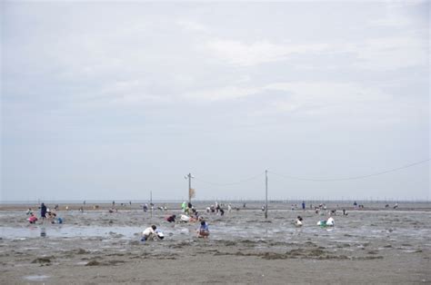 潮干狩り／富津海岸｜イベント｜千葉県公式観光サイト ちば観光ナビ