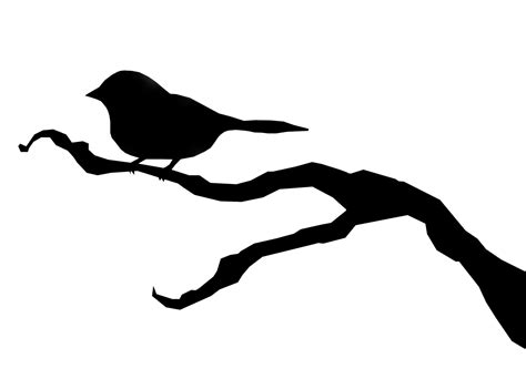 Bird Silhouette Wallpaper - WallpaperSafari