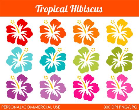 Free Tropical Border Cliparts, Download Free Tropical Border Cliparts png images, Free ClipArts ...