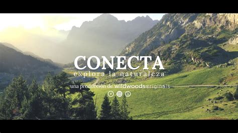 Conecta Explora La Naturaleza Wilwoodsoriginal Youtube