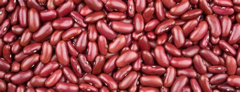 Health Benefits Of Kidney Beans Holland And Barrett