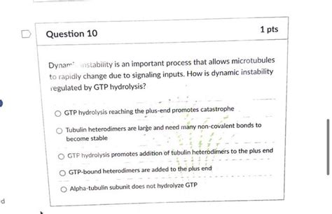 Solved You are interested in how cytoskeletal filaments | Chegg.com 