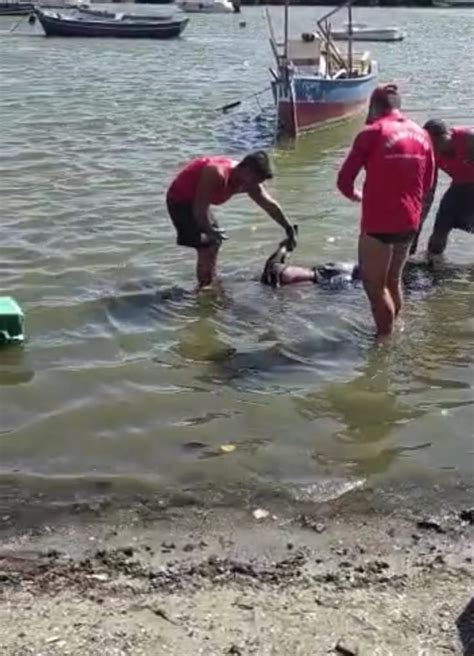 Homem Encontrado Morto No Canal Do Itajuru Em Cabo Frio