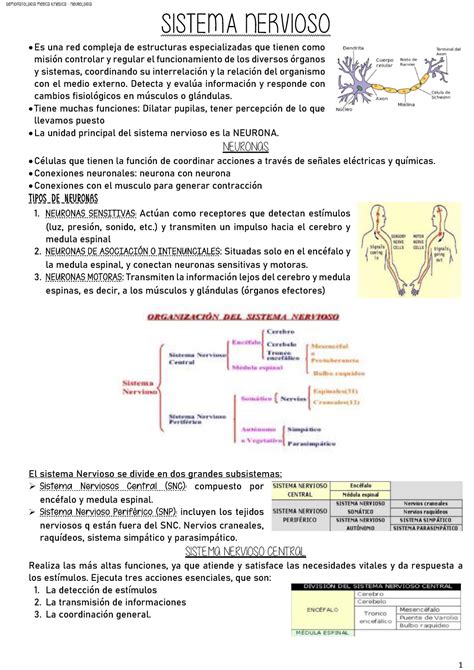 1 Resumen Sistema Nervioso SISTEMA NERVIOSO Es Una Red Compleja De