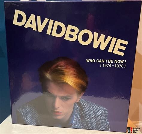 David Bowie Vinyl Box Sets Photo 4212244 Us Audio Mart