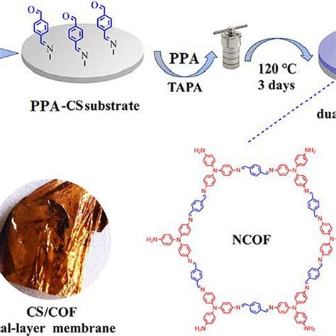 Chitosan Covalent Organic Framework Dual Layer Membrane With High