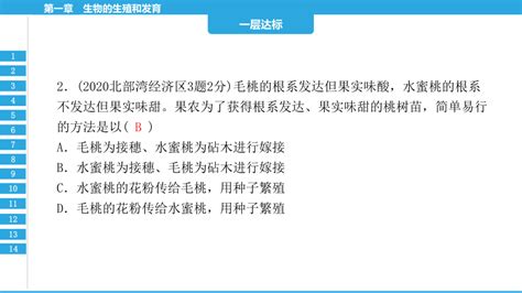 第七单元 第一章 生物的生殖和发育 2023年中考生物复习习题课件共23张ppt（人教版） 21世纪教育网