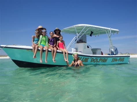 Come Swim With The Dolphins And Go Shelling At Beautiful Shell Island Blue Dolphin Tours Panama