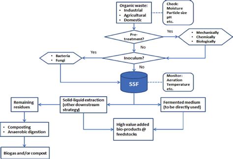 Solved Explain The Inputs And Outputs Of Solid Waste Chegg