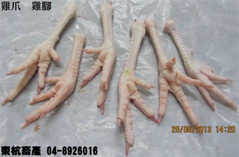 雞爪雞腳 東杭畜產 家禽屠宰場 雞隻屠宰場 雞肉批發 鴨肉批發 鵝肉批發